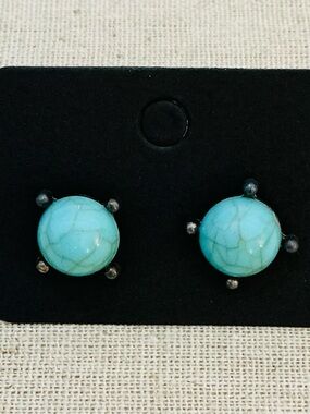 NEW FAUX TURQUOISE EARRINGS